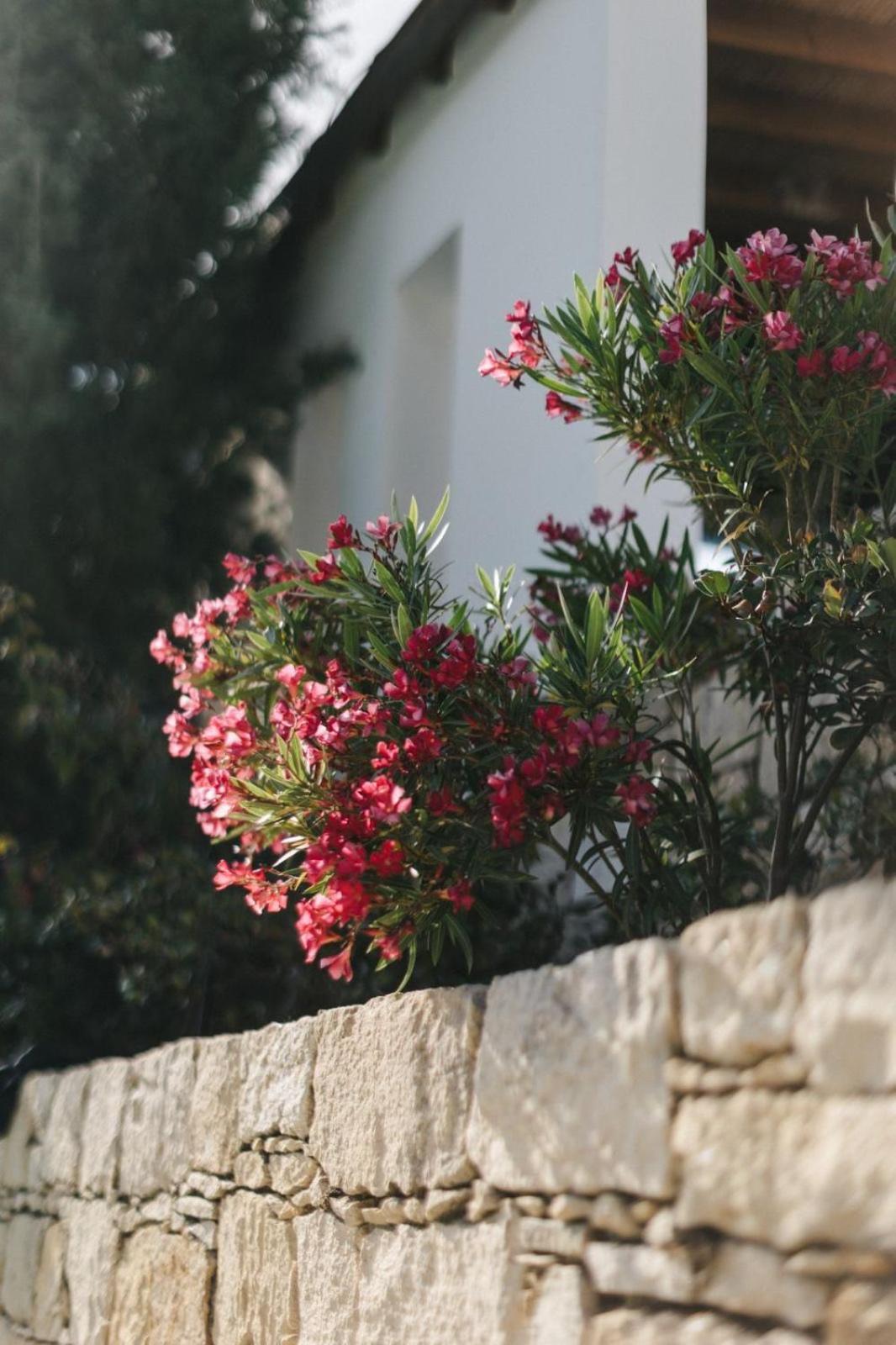 Cecilias Courtyard Guest House Malia ภายนอก รูปภาพ